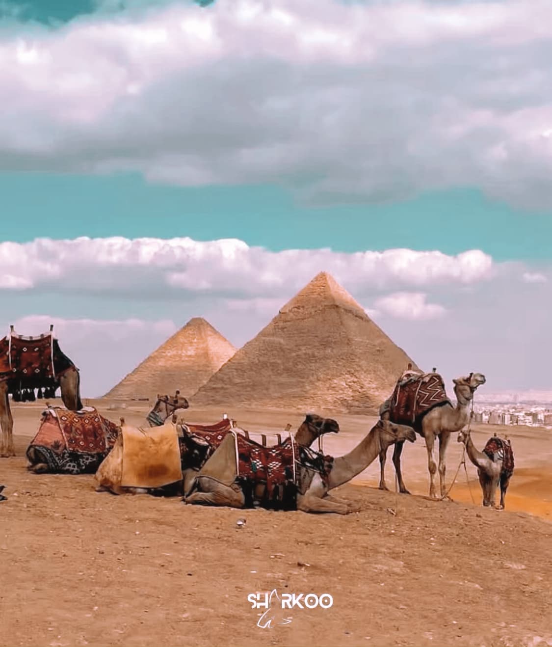 Private Cairo Tour for 2 Persons by Car 5