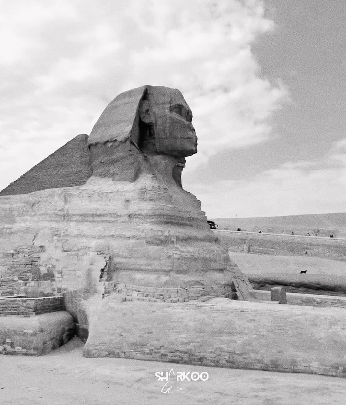 Private Cairo Tour for 2 Persons by Car 4