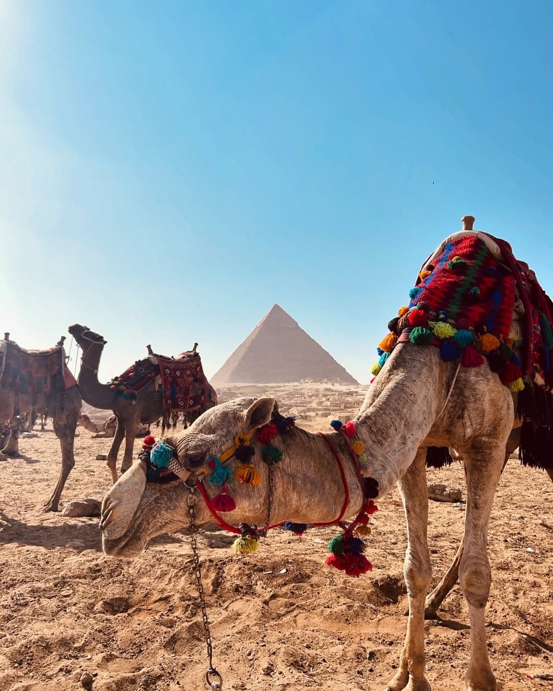 Cairo by Day