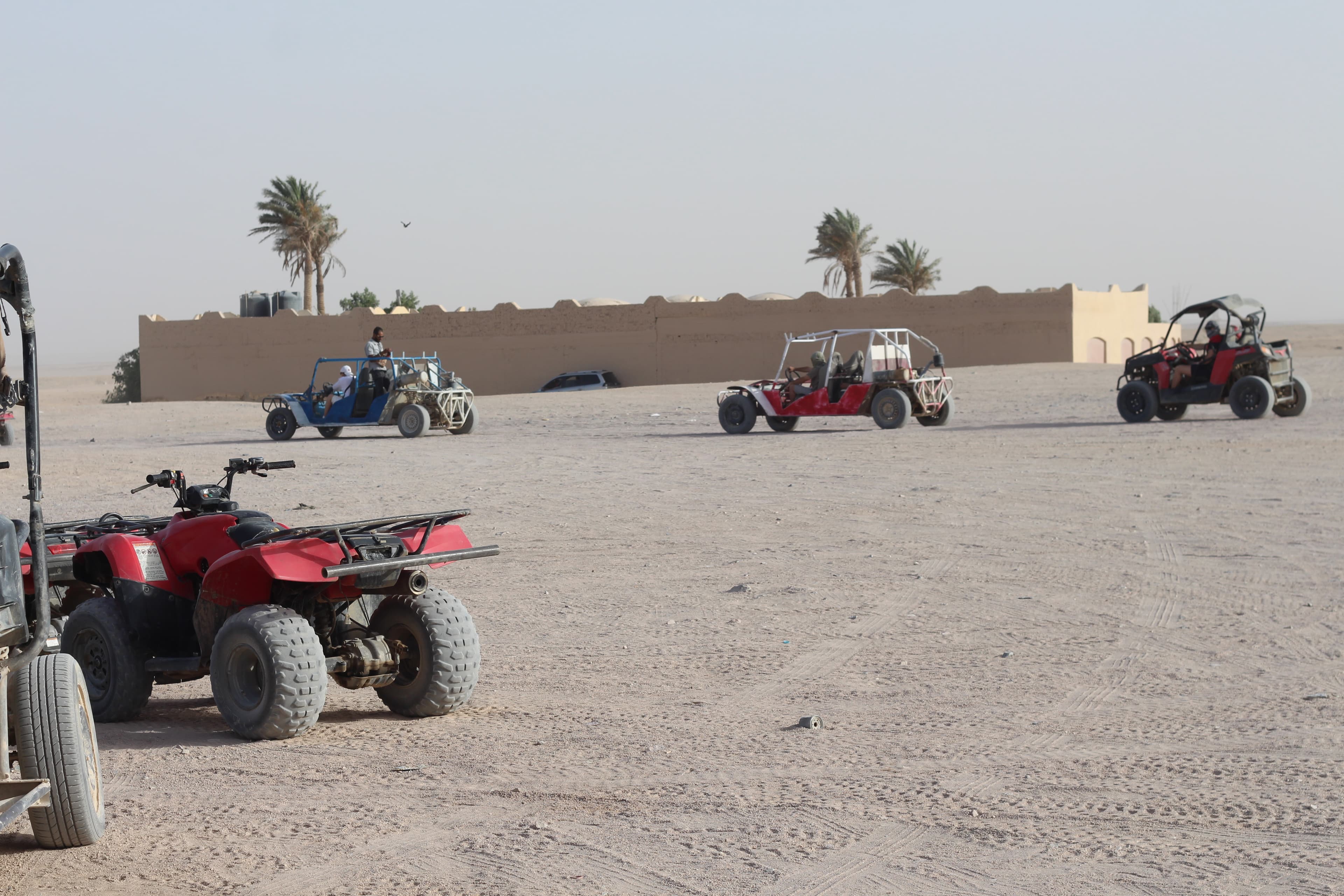 Desert Safari & Bedouin Village 5