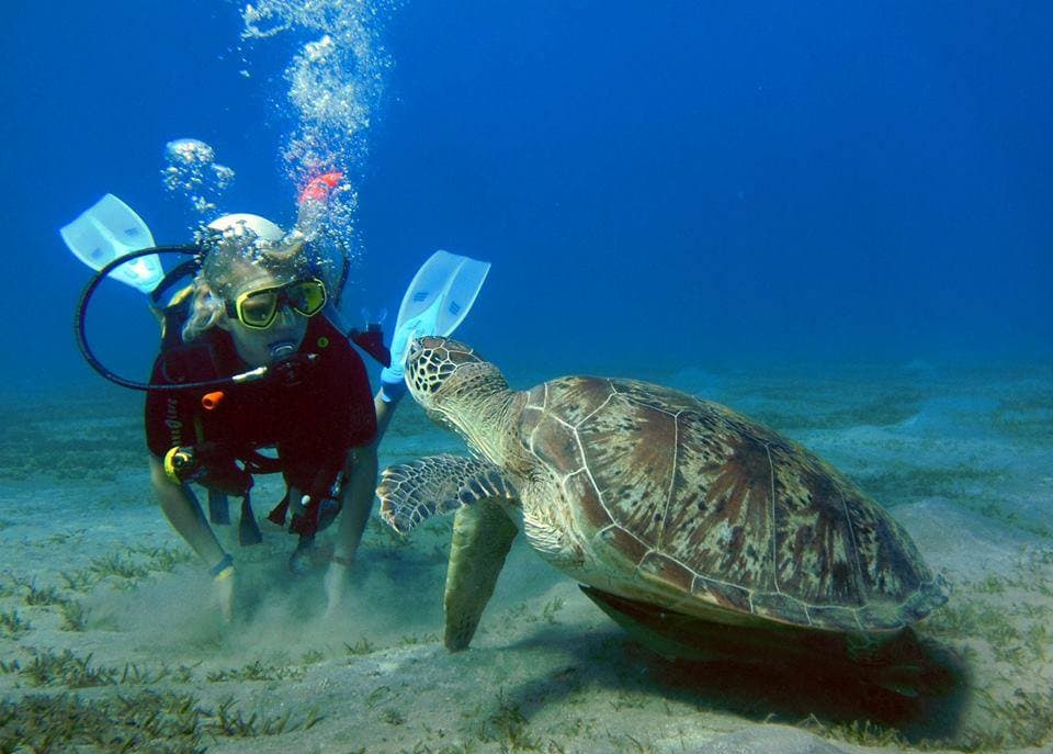 A Day in the Aquatic Paradise: Abu Dabbab - Marsa Alam 4