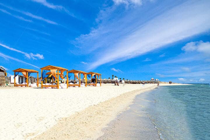 A Day in the Aquatic Paradise: Abu Dabbab - Marsa Alam 3