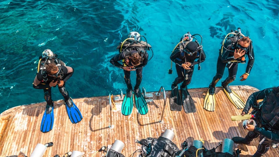 Vip Diving Trip 4