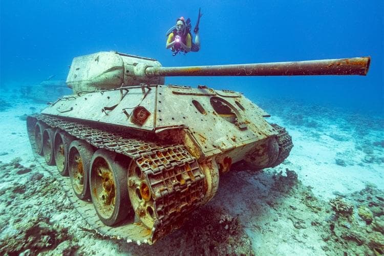 Vip Diving Trip 3