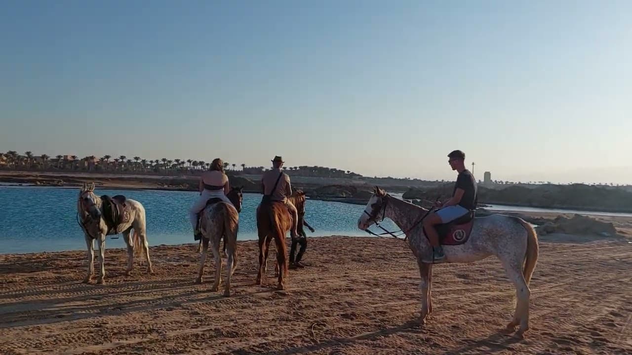 Golden Sunset Horse Riding in El Gouna & A Magical Desert & Sea Escape 2