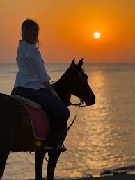 Golden Sunset Horse Riding in El Gouna & A Magical Desert & Sea Escape 4