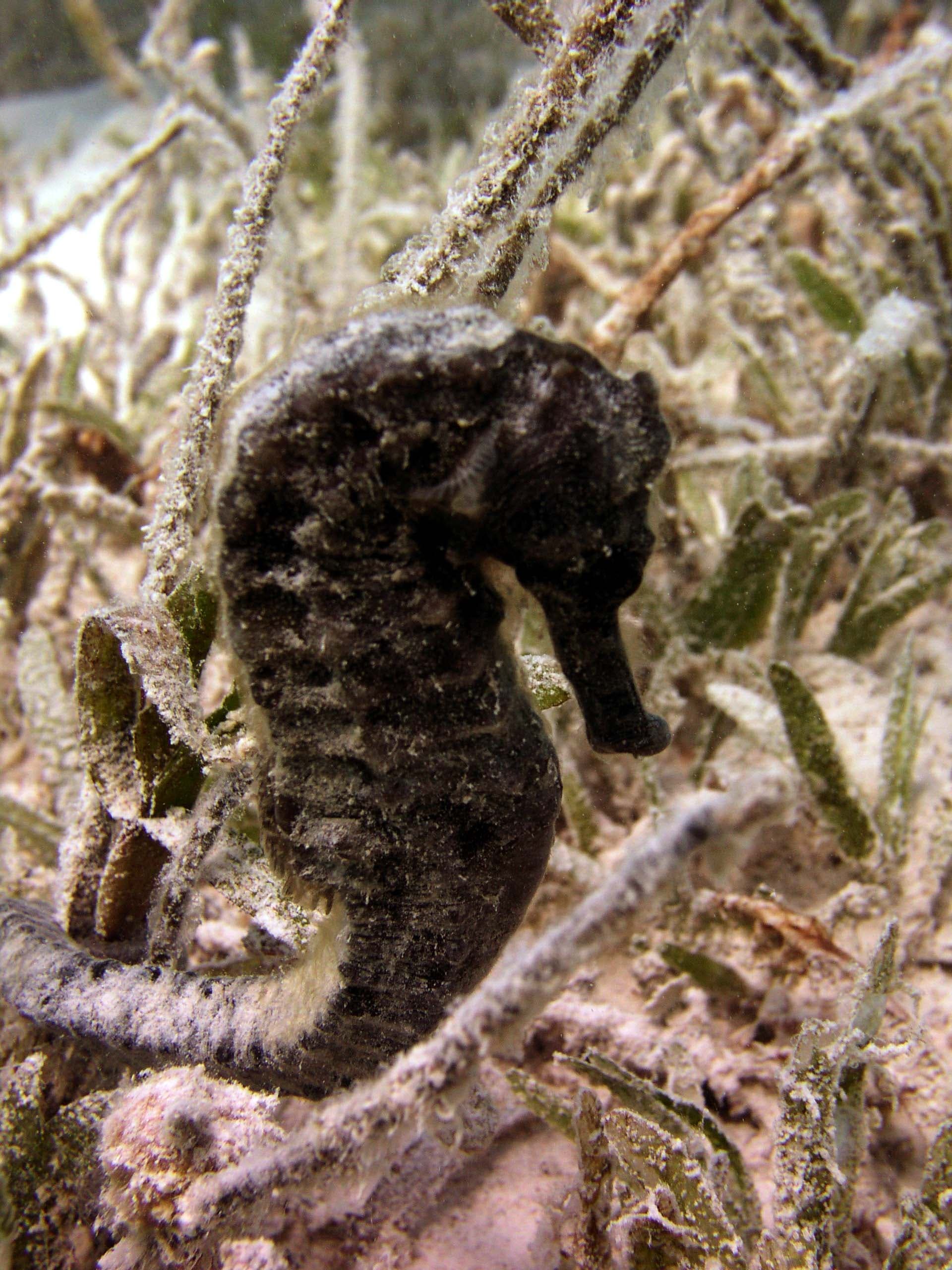 Exclusive Snorkeling Excursion 6