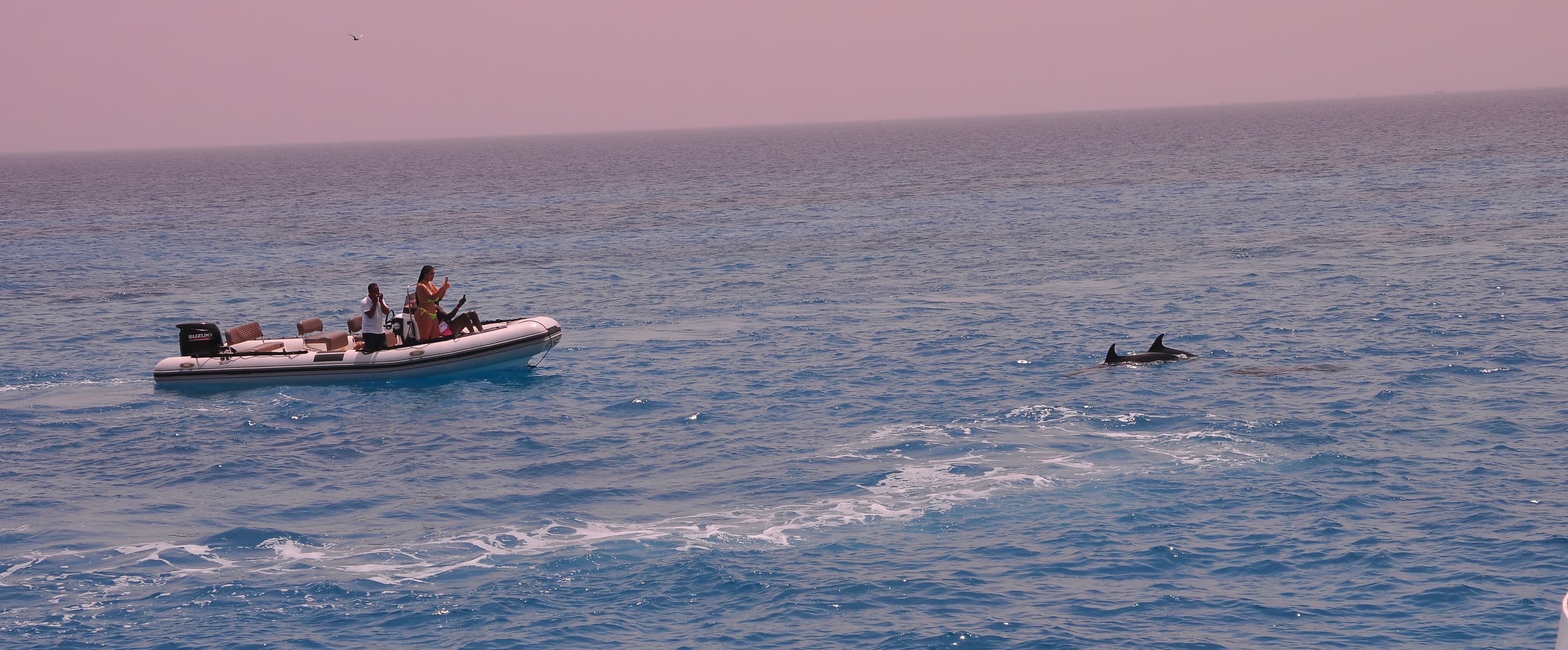 Private Speedboat Luxury Experience 2