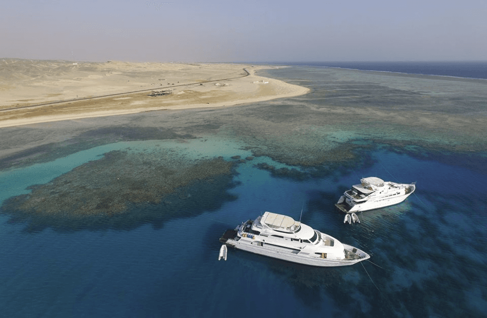 Elphinstone Reef Diving Day 4