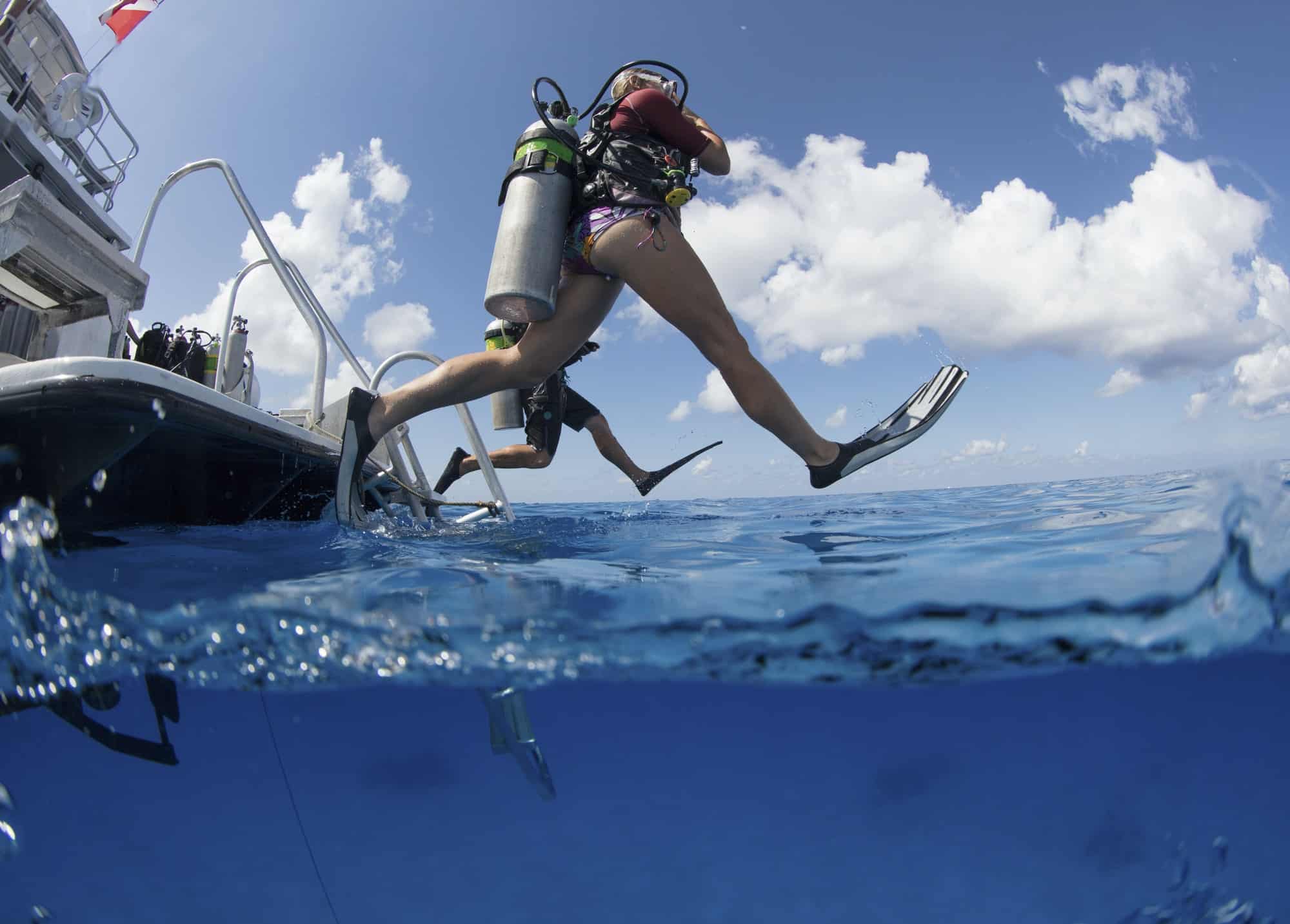 Vip Diving Trip