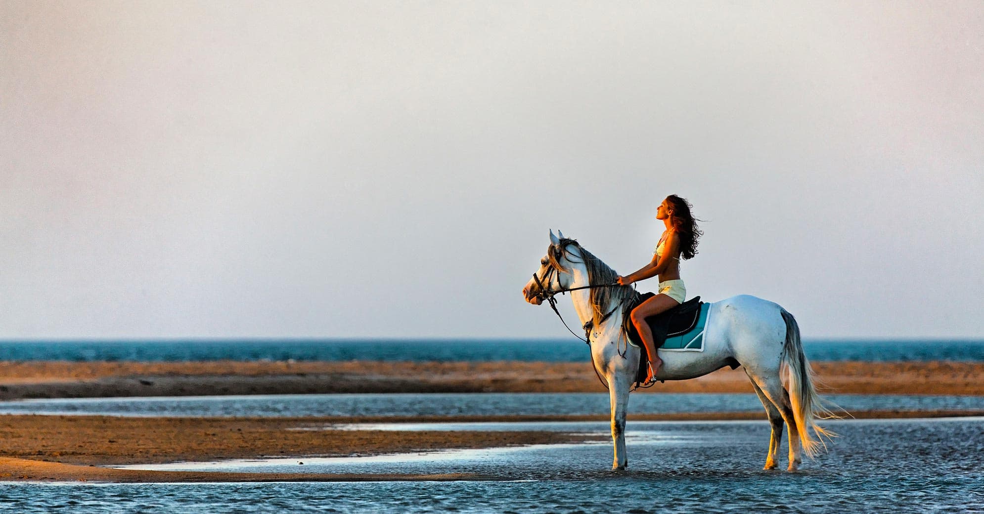 Golden Sunset Horse Riding in El Gouna & A Magical Desert & Sea Escape