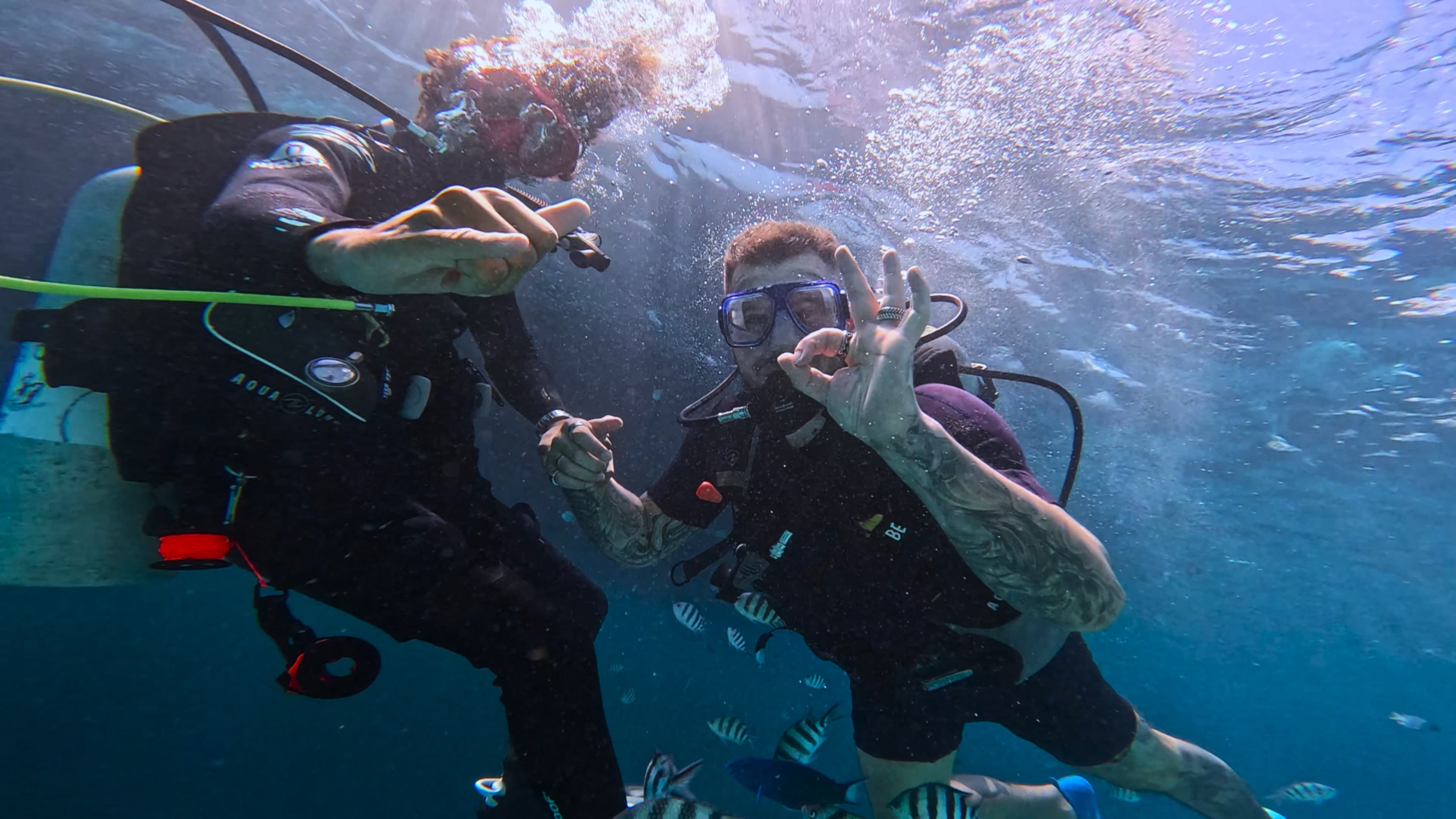 Complete Beginner's Guide to Red Sea Diving
