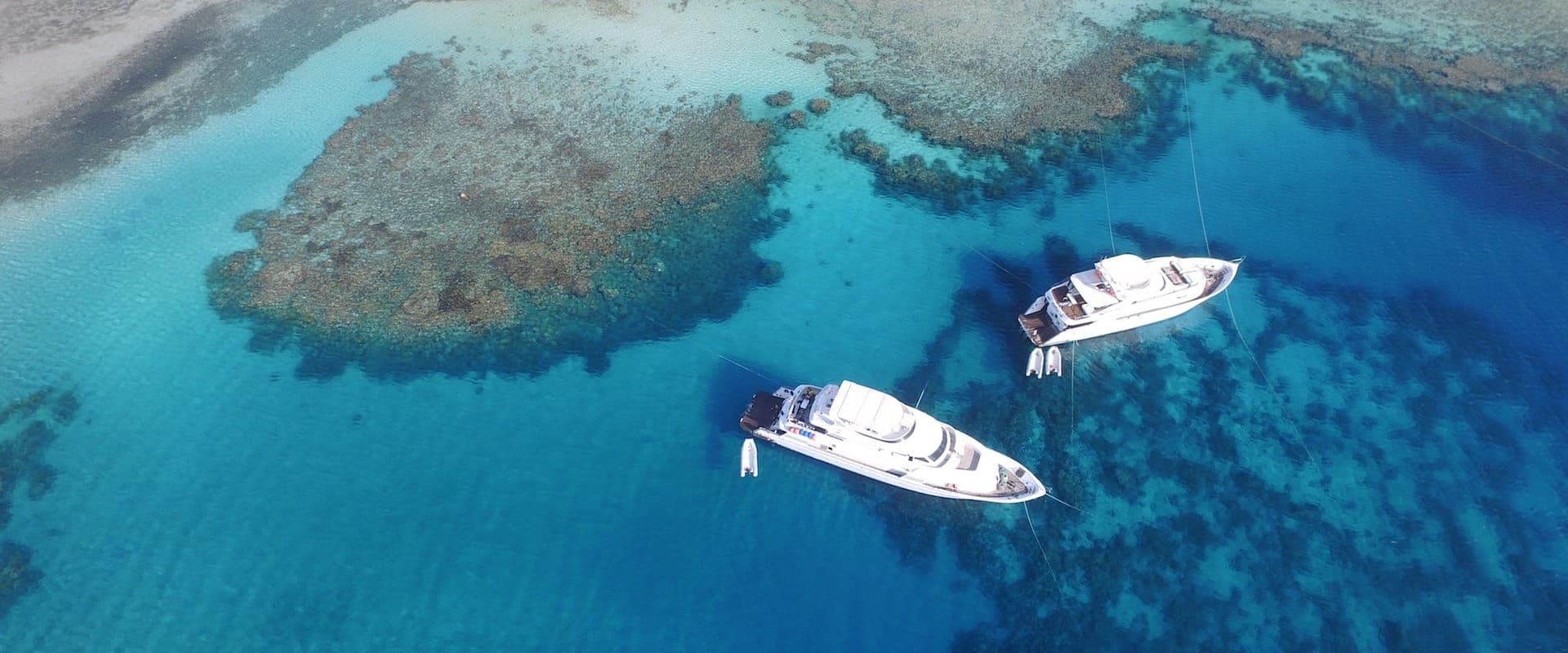 Elphinstone Reef Diving Day